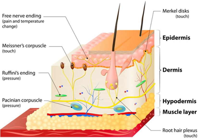 Figure-3